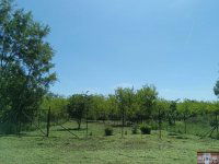 Eladó telek, Monorierdőn 9.9 M Ft / költözzbe.hu