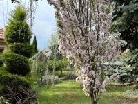 Eladó családi ház, Szegeden 409 M Ft, 6 szobás