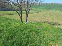 Eladó telek, Magyaralmáson 12 M Ft / költözzbe.hu