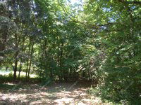 Eladó családi ház, Hegyhátszentjakabon 28 M Ft, 2 szobás