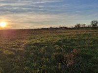 Eladó telek, Pécsudvardon 13.9 M Ft / költözzbe.hu