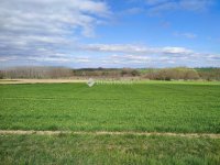 Eladó telek, Tápszentmiklóson 4.9 M Ft / költözzbe.hu