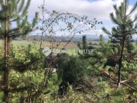 Eladó telek, Mogyorósbányán 5 M Ft / költözzbe.hu