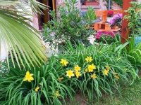 Eladó családi ház, Pogányon 109 M Ft, 2+4 szobás