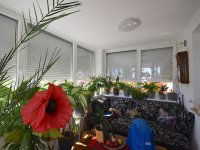 Eladó ikerház, XXII. kerületben 249.99 M Ft, 4 szobás