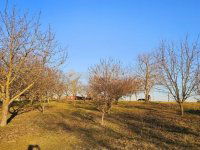 Eladó mezogazdasagi ingatlan, Egerágon 159 M Ft, 5 szobás