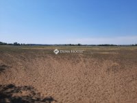 Eladó mezogazdasagi ingatlan, Dabason 30 M Ft