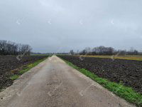 Kiadó ipari ingatlan, Komáromban 300 E Ft / hó