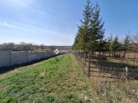 Eladó családi ház, Bicskén 21.5 M Ft, 2 szobás