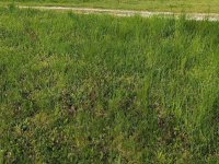 Eladó telek, Balatonszárszón 39.762 M Ft / költözzbe.hu