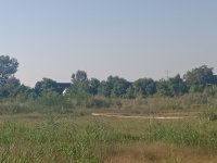 Eladó telek, Cegléden 400 M Ft / költözzbe.hu