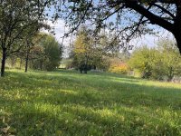 Eladó mezogazdasagi ingatlan, Oroszlányban 7.9 M Ft, 1 szobás