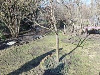 Eladó családi ház, XVII. kerületben 82 M Ft, 3 szobás