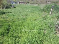 Eladó telek, Balatonfűzfőn 68 M Ft / költözzbe.hu