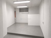 Kiadó üzlethelyiség, Budapesten, XIII. kerületben 250 E Ft / hó
