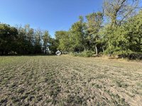 Eladó mezogazdasagi ingatlan, Orgoványon 79.9 M Ft, 3 szobás