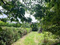 Eladó családi ház, Délegyházán 22.9 M Ft, 3 szobás