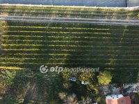 Eladó telek, Felsőörsön 69.9 M Ft / költözzbe.hu