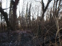 Eladó mezogazdasagi ingatlan, Pápasalamonon 6.4 M Ft