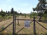 Eladó telek, Homokbödögén 4.5 M Ft / költözzbe.hu