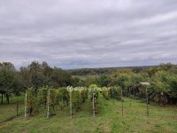 Eladó telek, Kulcson 18 M Ft / költözzbe.hu