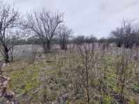 Eladó mezogazdasagi ingatlan, Röszkén 5 M Ft