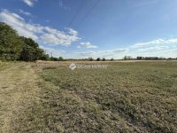 Eladó mezogazdasagi ingatlan, Orgoványon 79.9 M Ft, 3 szobás