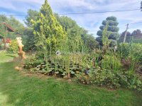 Eladó családi ház, Kecskeméten 98 M Ft, 3 szobás