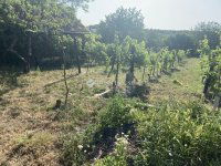 Eladó telek, Tárnokon 9.95 M Ft / költözzbe.hu