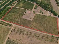 Eladó mezogazdasagi ingatlan, Balatonlelleén 59.9 M Ft