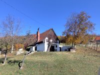 Eladó mezogazdasagi ingatlan, Monoszlón 125 M Ft