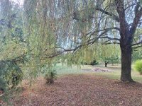 Eladó mezogazdasagi ingatlan, Kisasszondon 1.9 M Ft