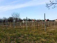 Eladó telek, Pázmándon 23.9 M Ft / költözzbe.hu