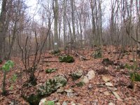 Eladó telek, Bükkszentkereszten 8.99 M Ft / költözzbe.hu