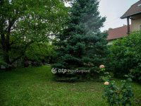 Eladó családi ház, Balatonkenesén 319 M Ft, 12 szobás