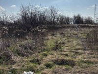 Eladó telek, Győrött 6 M Ft / költözzbe.hu