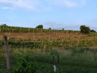 Eladó mezogazdasagi ingatlan, Csókakőn 10.9 M Ft
