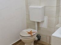 Eladó téglalakás, Kecskeméten 45.5 M Ft, 2 szobás