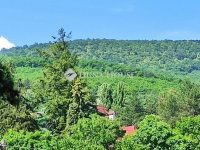 Eladó családi ház, Leányfaluban 43 M Ft, 4 szobás