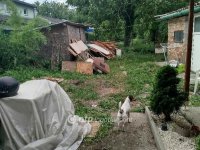 Eladó családi ház, Pécsett 25 M Ft, 1 szobás