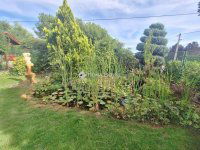 Eladó családi ház, Kecskeméten 98 M Ft, 3 szobás