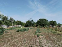 Eladó telek, Törtelen 3.3 M Ft / költözzbe.hu