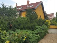 Kiadó családi ház, albérlet, II. kerületben 1584 E Ft / hó