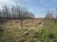 Eladó telek, Mihályházán 3.6 M Ft / költözzbe.hu