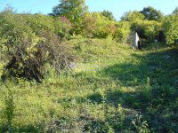 Eladó telek, II. kerületben 55 M Ft / költözzbe.hu