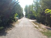 Eladó mezogazdasagi ingatlan, Érden 220 M Ft, 3 szobás