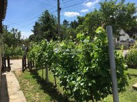 Eladó családi ház, Pétfürdőn 69.9 M Ft, 3 szobás