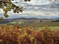 Eladó mezogazdasagi ingatlan
