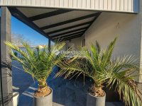 Eladó családi ház, Gyálon 270 M Ft, 7 szobás