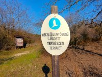 Eladó telek, Érden 64.9 M Ft / költözzbe.hu